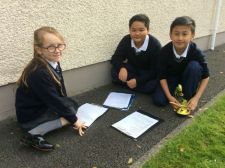 Working together makes maths more fun!