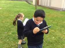 KS2 maths trail