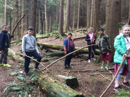 This is the beginning of our shelter.