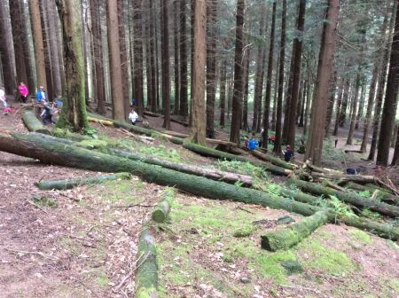 Our challenge is to build a waterproof shelter that will fit our group!